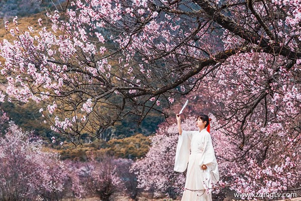 3月为什么有那么多人去西藏