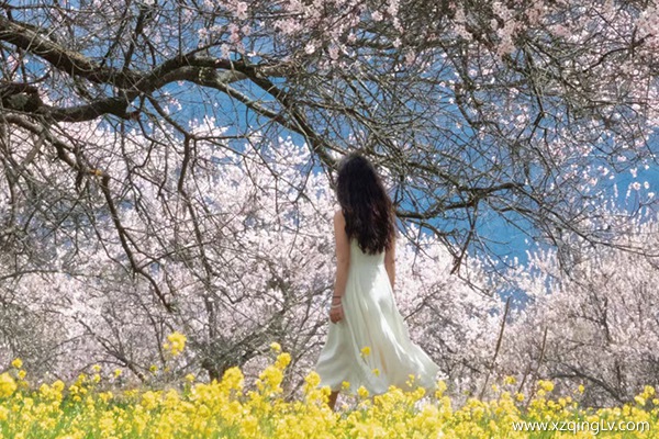 4月适合去西藏旅游吗