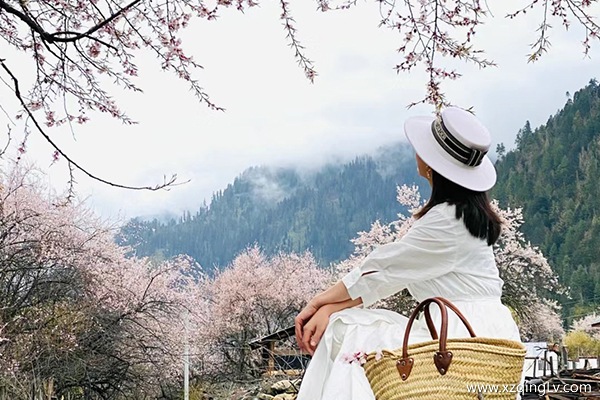 去西藏一次准备多少预算旅游才够玩呢